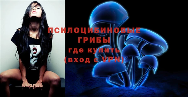 прущие грибы Балабаново