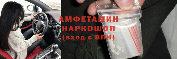 прущие грибы Балабаново
