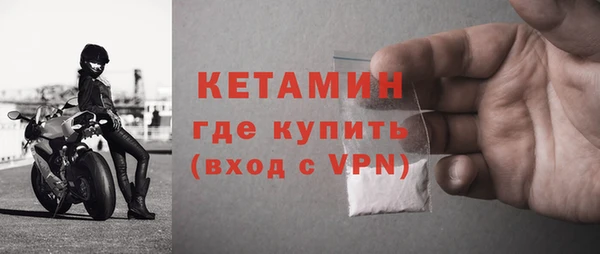 прущие грибы Балабаново