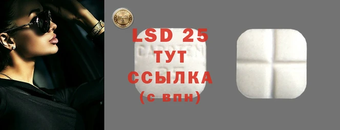 прущие грибы Балабаново