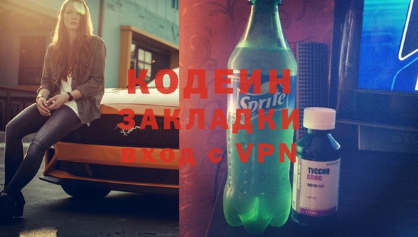 прущие грибы Балабаново