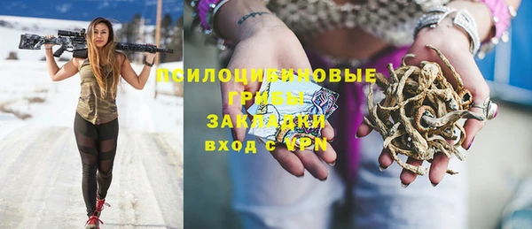 прущие грибы Балабаново