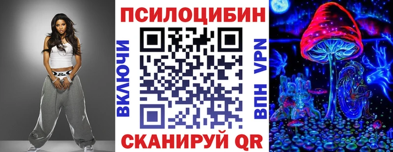 где найти наркотики  Краснокаменск  Галлюциногенные грибы Psilocybe 